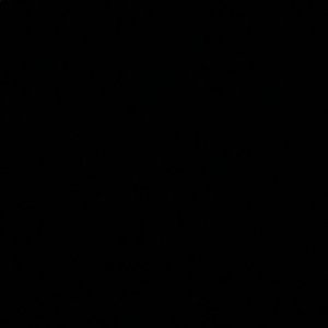 Meet your Posher, Savannah